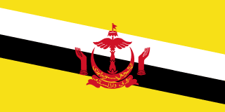 Brunei eSIM (Data + Voice + SMS)